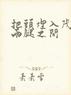 把头埋入茂密的两腿之间封面