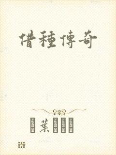 借种传奇封面