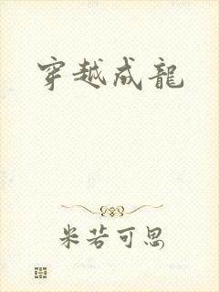 穿越成龙封面