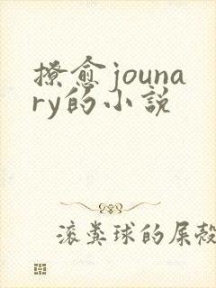 撩愈jounary的小说