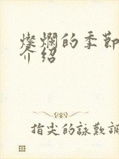 灿烂的季节剧情介绍