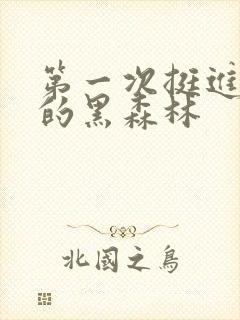 第一次挺进麻麻的黑森林封面