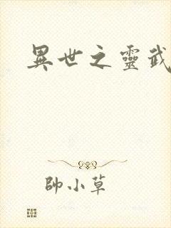 异世之灵武天下