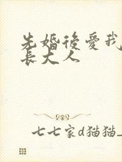 先婚后爱我的市长大人