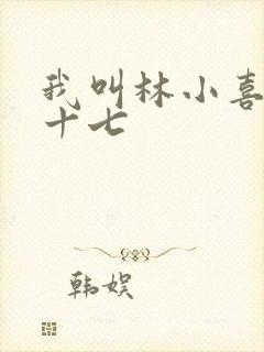我叫林小喜今年十七