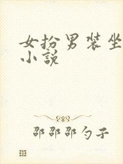 女扮男装坐江山小说
