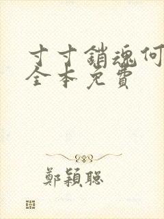 寸寸销魂何生祥全本免费