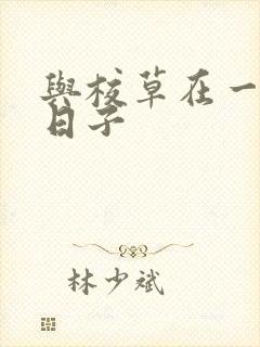 与校草在一起的日子