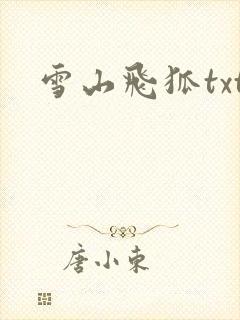 雪山飞狐txt