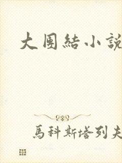 大团结小说全文