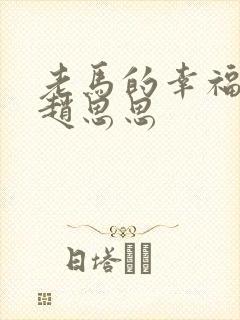 老马的幸福生活赵思思