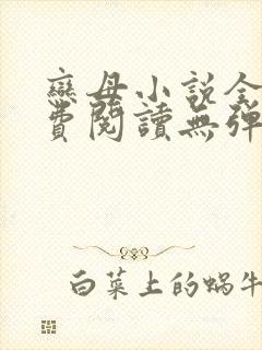 恋母小说全文免费阅读无弹窗笔趣阁封面