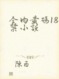 全肉黄码18无禁小说封面