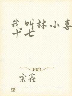 我叫林小喜今年十七封面