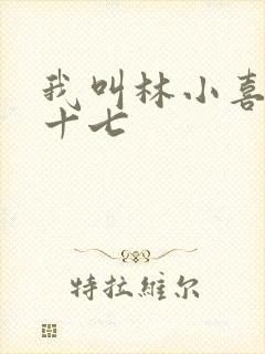 我叫林小喜今年十七封面
