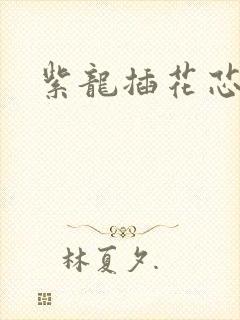 紫龙插花芯方正