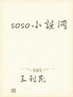 soso小说网
