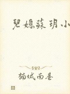 儿媳苏玥小说封面