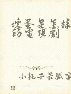 坏蛋是怎样炼成的电视剧