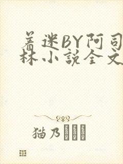 着迷BY阿司匹林小说全文免费阅读