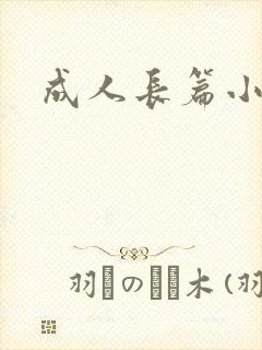 成人长篇小说