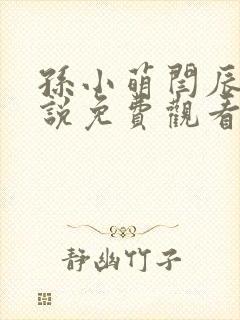 孙小萌闫辰的小说免费观看