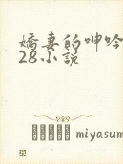 娇妻的呻吟1—28小说