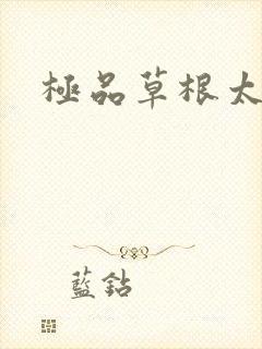 极品草根太子封面