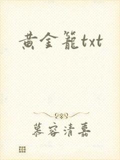 黄金笼txt封面