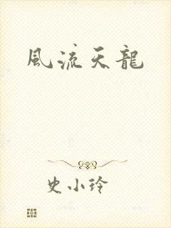 风流天龙