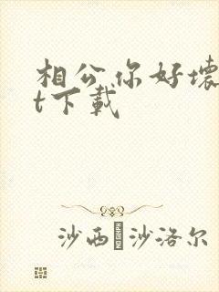 相公你好坏txt下载