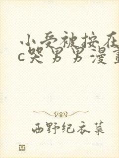 小受被按在墙上c哭男男漫画