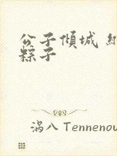 公子倾城 维和粽子