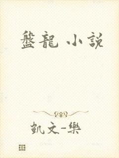 盘龙 小说封面