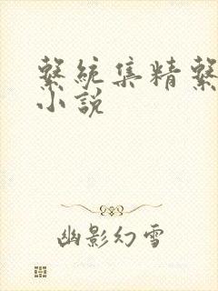 系统集精系统 小说封面