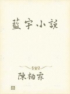 蓝宇小说