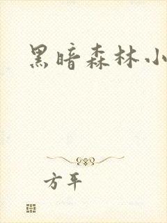黑暗森林小说