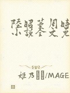 陆昭菱周时阅的小说全文免费阅读