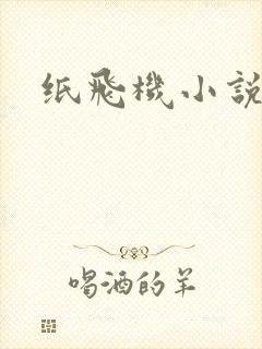 纸飞机小说