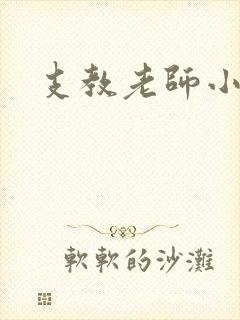 支教老师小说封面