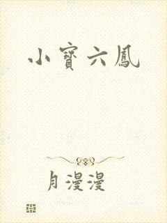 小宝六凤