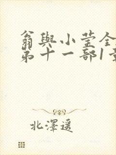 翁与小莹全目录第十一部1章封面