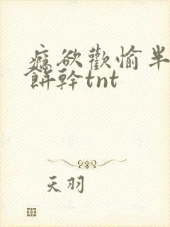 瘾欲欢愉半块小饼干tnt