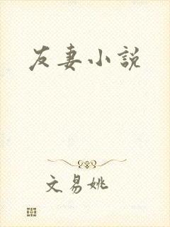 友妻小说封面