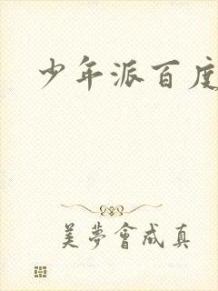 少年派百度百科