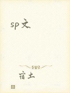 sp文封面