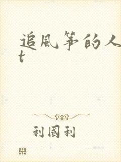 追风筝的人txt封面