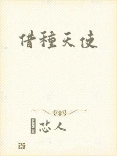 借种天使封面