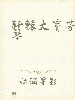 轩辕大宝芳菲雅琴