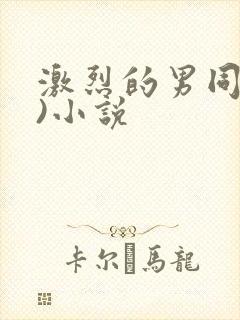 激烈的男同(h)小说